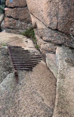 Beehive Trail by null