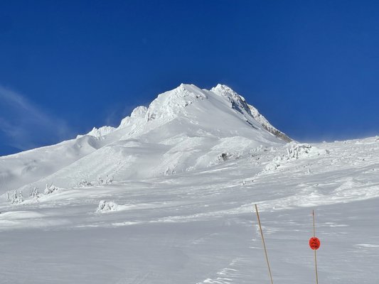 Mt. Hood Meadows by null