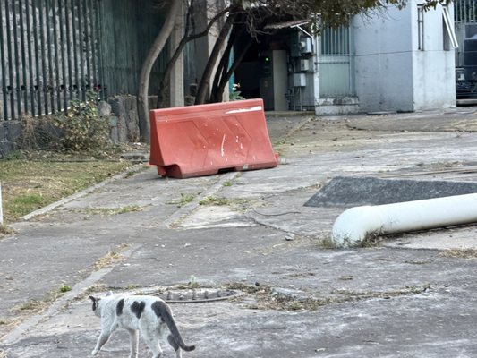 Papalote Museo del Niño by null