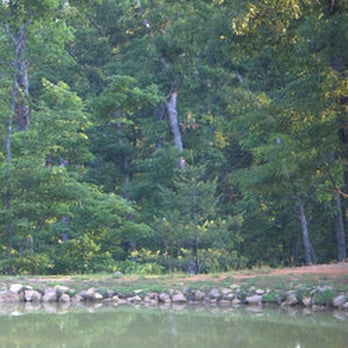 Old Mountain Campground - Old Mountain Campground, Greeneville TN - Campgrounds Near Me - Greeneville, Tennessee