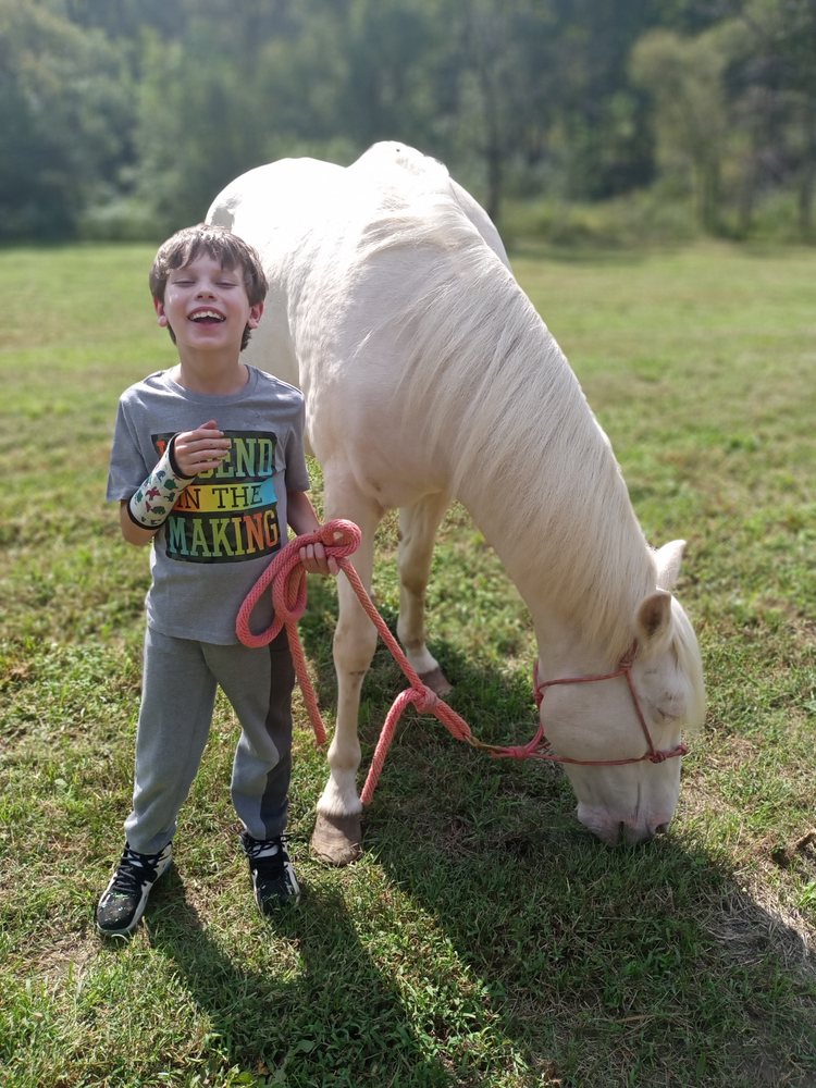 4 HOOVES AND PAWS Updated September 2024 26 Photos Canton