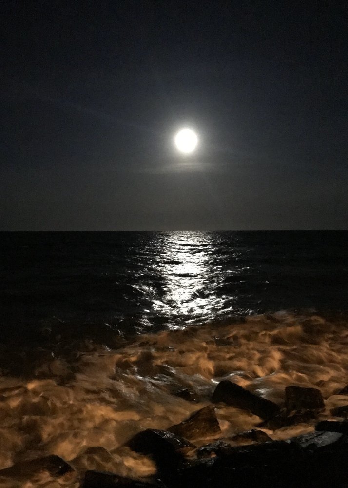 MARY KAMMERER RI REAL ESTATE Contact Agent Point Judith, Rhode