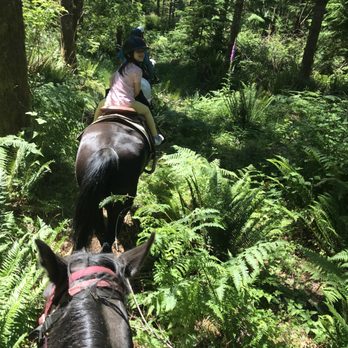 Echo River Ranch - Horseback Riding Near Me - Enumclaw, Washington Echo River Ranch - Horseback Riding Near Me - Enumclaw, Washington