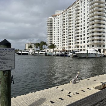 Coconuts - View from our table. - Seafood Near Me - Fort Lauderdale, Florida Coconuts - View from our table. - Seafood Near Me - Fort Lauderdale, Florida