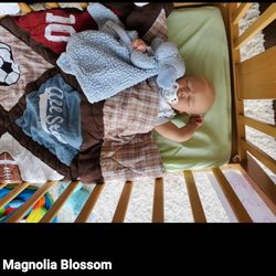 Magnolia Blossom Reborn Nursery - Change name back to Magnolia Bossom Reborn Nursery