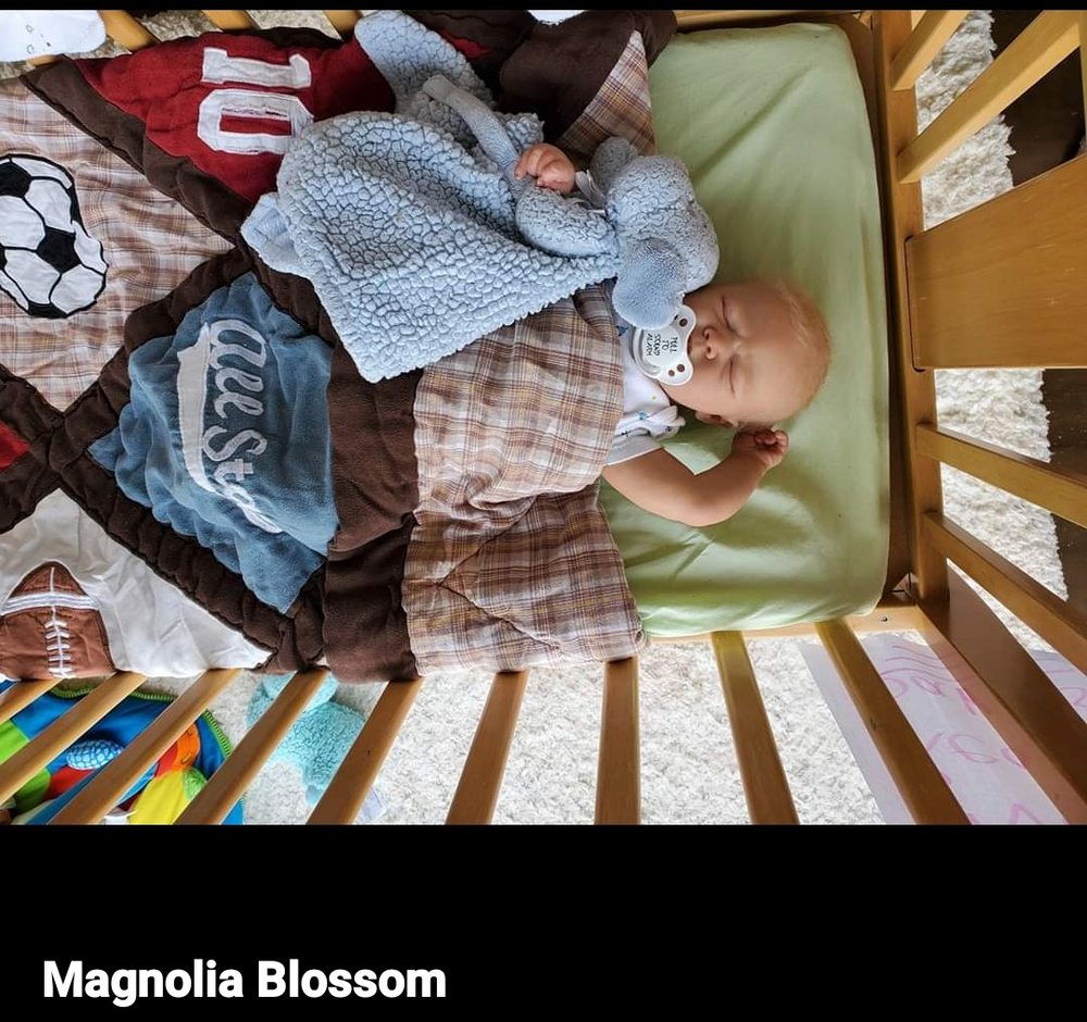 Magnolia Blossom  Reborn Nursery Logo