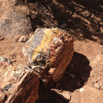 Escalante Petrified Forest State Park - Parks Near Me - Escalante, Utah