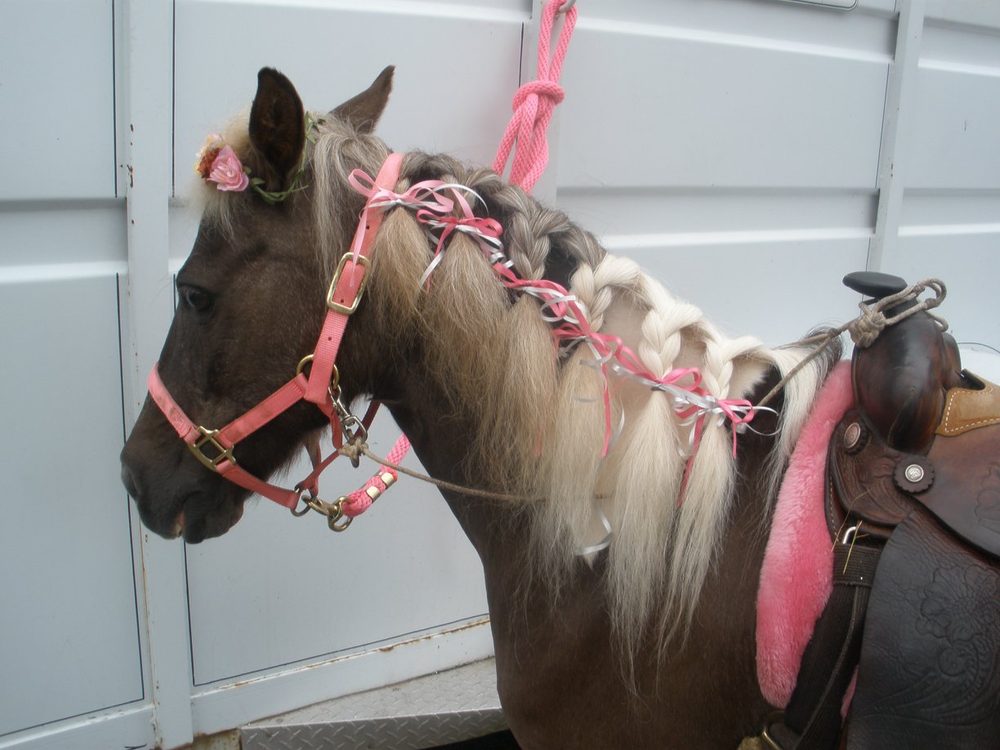 Winding Brook Farm - equestrian in Flemington, NJ