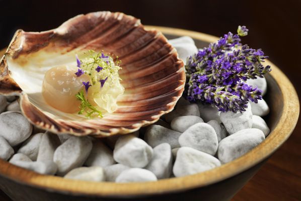 Ecco St. Moritz by null