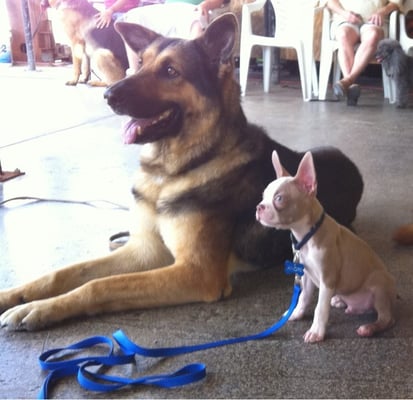 Gallery On Greene by null