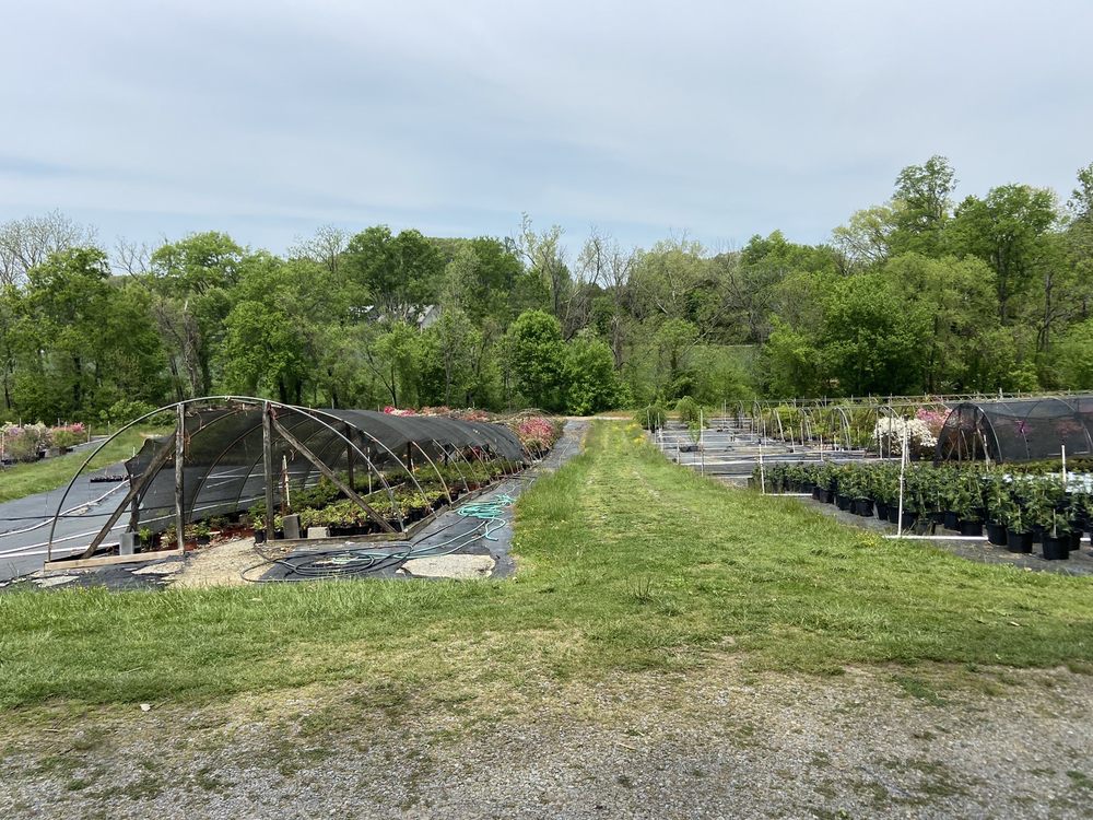 EAST FORK NURSERY Updated August 2024 2769 Bethel Church Rd