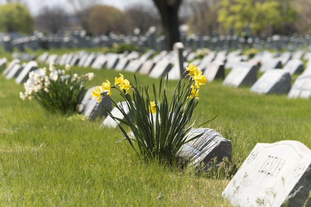 ST. MICHAEL CEMETERY Request Information 31 Photos 2205 Stratford