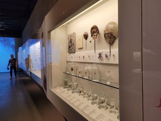 Lee Kong Chian Natural History Museum, Singapore by null