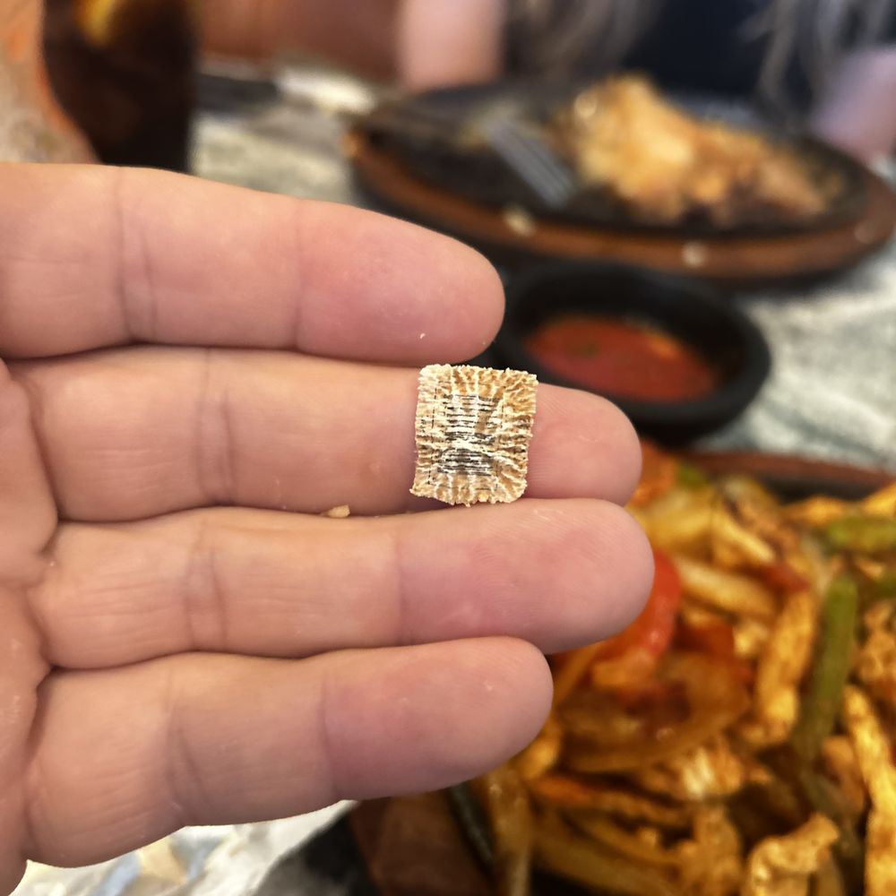El Dorado - Mexican Near Me - Plattsburgh, New York