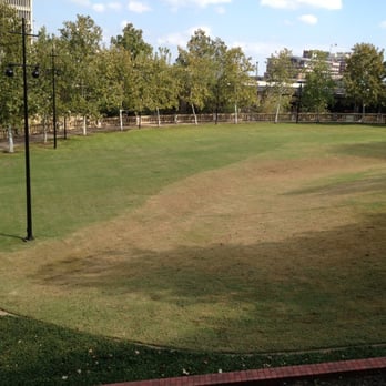 Sesquicentennial Park - Parks Near Me - Houston, Texas Sesquicentennial Park - Parks Near Me - Houston, Texas
