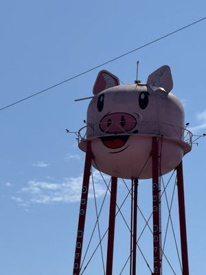 Baja Betty's by null