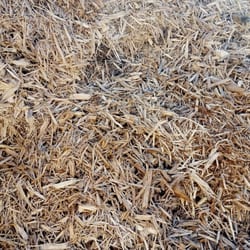 Brown Mulch