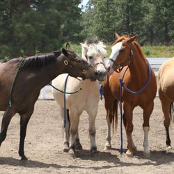 Healing Reins Therapeutic Riding Center