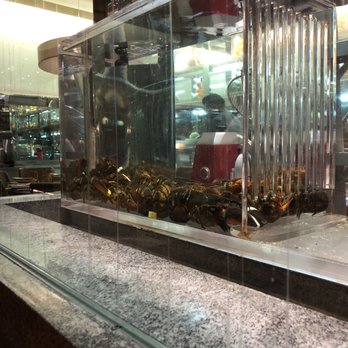 Harvest - Lobster tank next to my table - New American Near Me - Las Vegas, Nevada Harvest - Lobster tank next to my table - New American Near Me - Las Vegas, Nevada