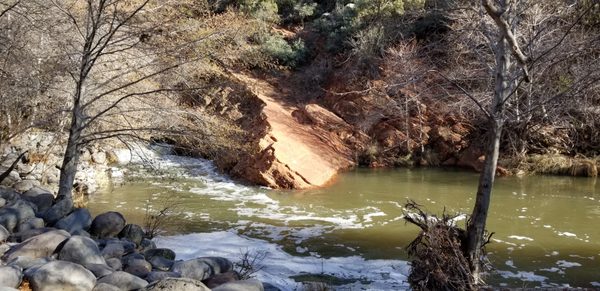 Briar Patch Inn by null