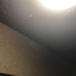 Nasty bugs and spiders around my room light Nasty bugs and spiders around my room light