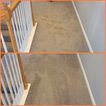 OMG! Carpet Cleaning - Spots are INCLUDED!
No Up-Sells! No Per Spot Fees! - Carpet Cleaning Near Me - Buford, Georgia OMG! Carpet Cleaning - Spots are INCLUDED!
No Up-Sells! No Per Spot Fees! - Carpet Cleaning Near Me - Buford, Georgia