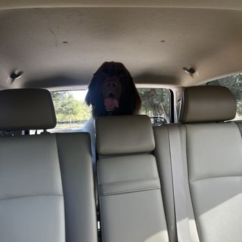 Ruff Cuts Dog Grooming - Feeling so fresh and so clean - Pet Groomers Near Me - Atascadero, California Ruff Cuts Dog Grooming - Feeling so fresh and so clean - Pet Groomers Near Me - Atascadero, California