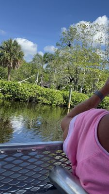 Naples Zoo at Caribbean Gardens by null