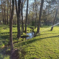 Cooper Park - Stream
