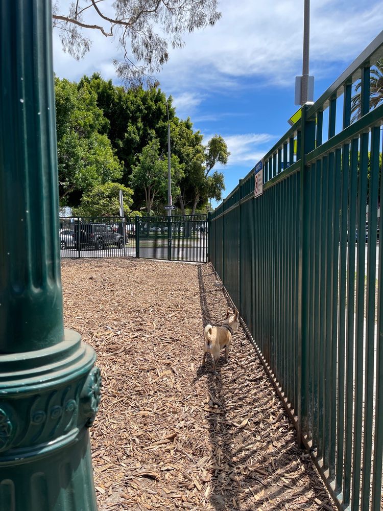 BIXBY DOG PARK Updated September 2024 38 Photos & 16 Reviews 130