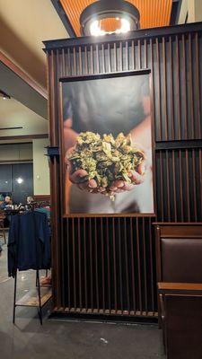 Iron Hill Brewery & Restaurant by null