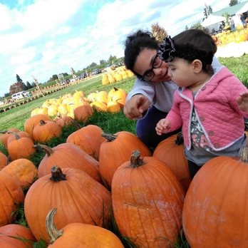 Picha Farms - Specialty Food Near Me - Puyallup, Washington
