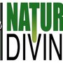 Photo of Natural Divine Store