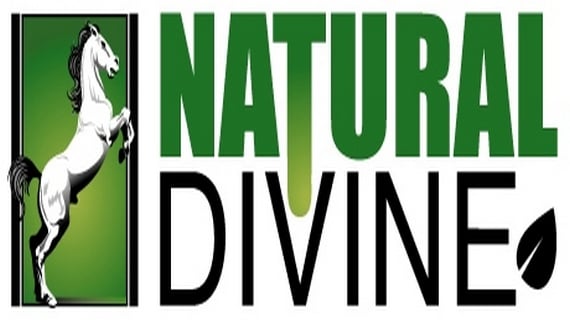 Natural Divine Store Logo