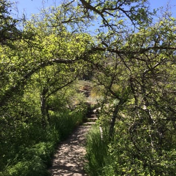 Montezuma Well - Walkway path... Loved the overhanging plants - Landmarks & Historical Buildings Near Me - Rimrock, Arizona Montezuma Well - Walkway path... Loved the overhanging plants - Landmarks & Historical Buildings Near Me - Rimrock, Arizona