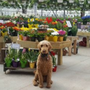 Photo of Catalpa Grove Farm & Market