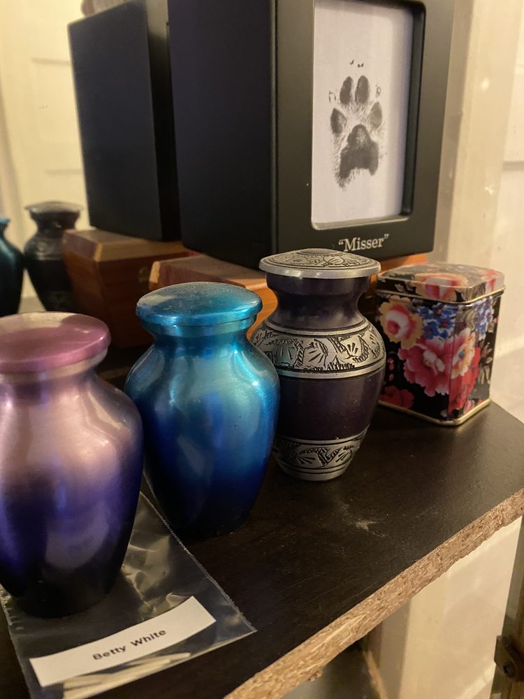 PET HEAVEN FUNERAL HOME Updated September 2024 3604 N Buffalo Rd