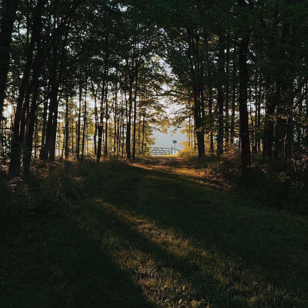 Moraine View State Recreation Area - Parks Near Me - Le Roy, Illinois