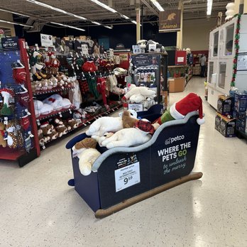 Petco - Cute sleigh of toys - A pet store display contains plush stuffed animals, including dogs and bears, arranged on a sled-shaped stand. The display also features holiday-themed pet accessories such as a Santa hat and Christmas-themed toys. Shelves in the background hold various pet products and decorations, with a festive holiday theme evident in the setup. - Pet Training Near Me - Albuquerque, New Mexico