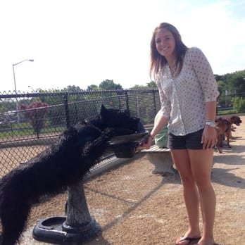 Little Bay Dog Run - This big friendly dog drinks from the water fountain! - Dog Parks Near Me - Bayside, New York