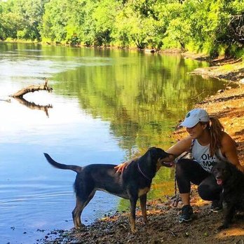 Canis Mountain Dog Training - Pet Services Near Me - Avon, Connecticut