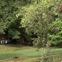 Photo of Oak Hill Landscaping