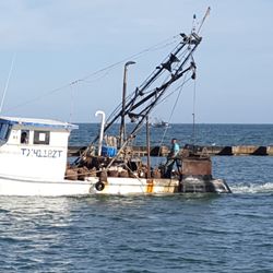 Cape Velero RV Park - Fresh oysters and shrimp at the Fulton marina.