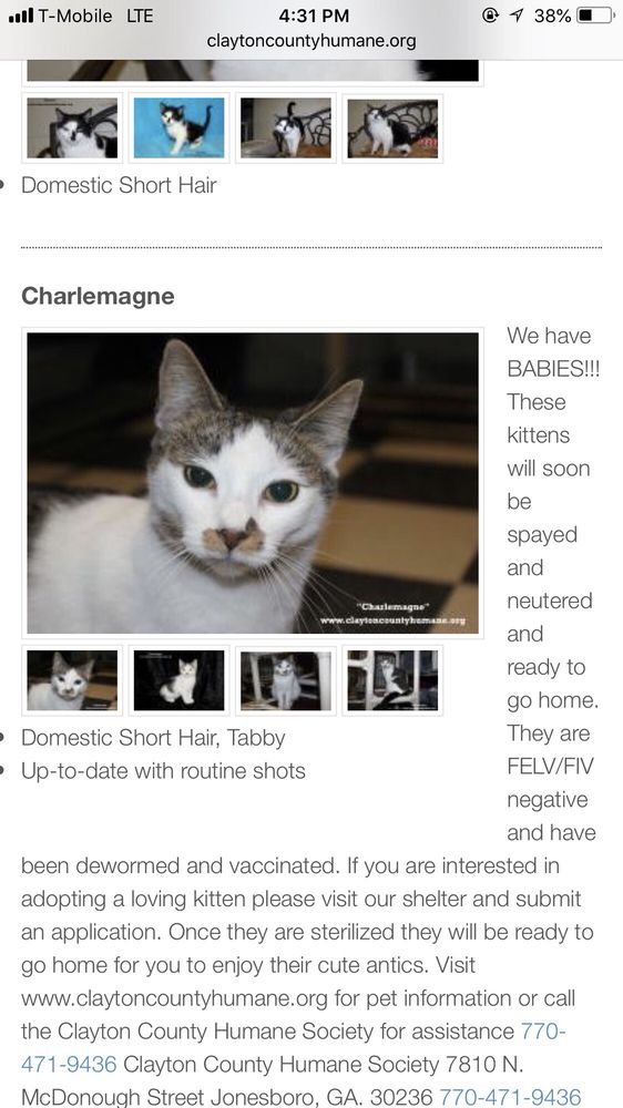 CLAYTON COUNTY HUMANE SOCIETY & SPCA Animal Shelters 7810 Mount Zion Blvd, Jonesboro, GA