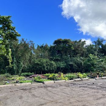 Koba's Nursery - Nurseries & Gardening Near Me - Waimanalo, Hawaii
