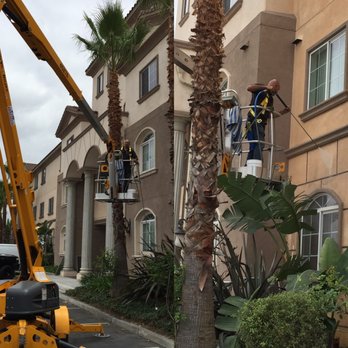 Max Steam - Pressure Wash - Window Washing Near Me - Santa Ana, California Max Steam - Pressure Wash - Window Washing Near Me - Santa Ana, California