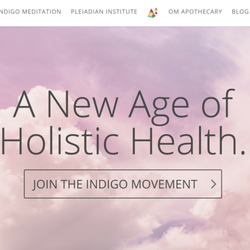 Indigo International - Go to our website and join the Indigo Movement to learn about our events and programs!