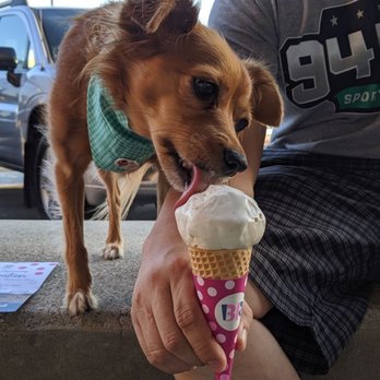 Baskin Robbins - Single Scoop Butter Pecan On Sugar Cone, $0.99 (tax included). Special Price For Grand Opening. Cute Dog Does Not Come With Purchase - Ice Cream & Frozen Yogurt Near Me - Duarte, California