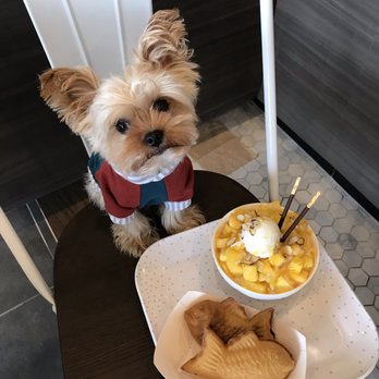 Heavenly Kup - Mango shaved ice and Nutella and custard taiyaki! Delicious! - Bubble Tea Near Me - Plano, Texas
