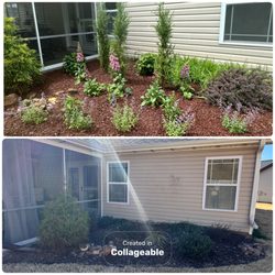 Woodruff's Lawn Care Service - Incorporating an ecological landscape into your existing garden bed can transform it into a vibrant, visually stunning space.
